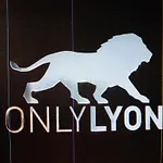 Laennec 3* Lyon